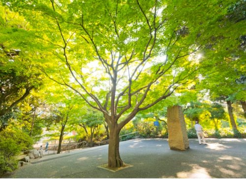 公園　中野区立紅葉山公園（公園）まで614m