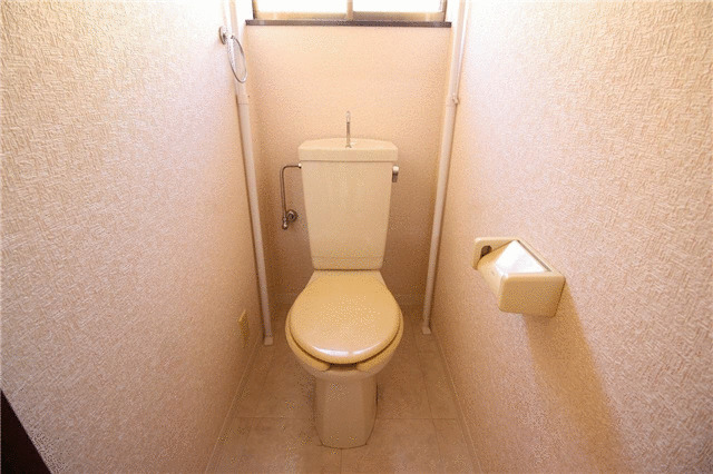 トイレ　トイレも気になるポイント