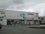 ドラックストア　ウエルシア高岡戸出店（ドラッグストア）まで1387m