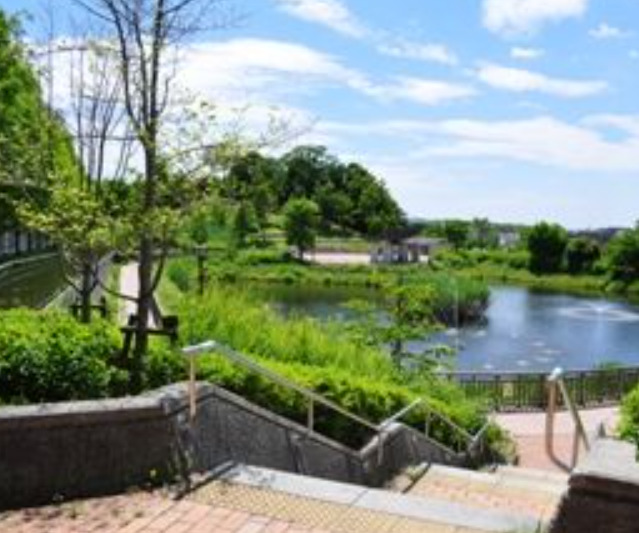 公園　中央公園（公園）まで569m