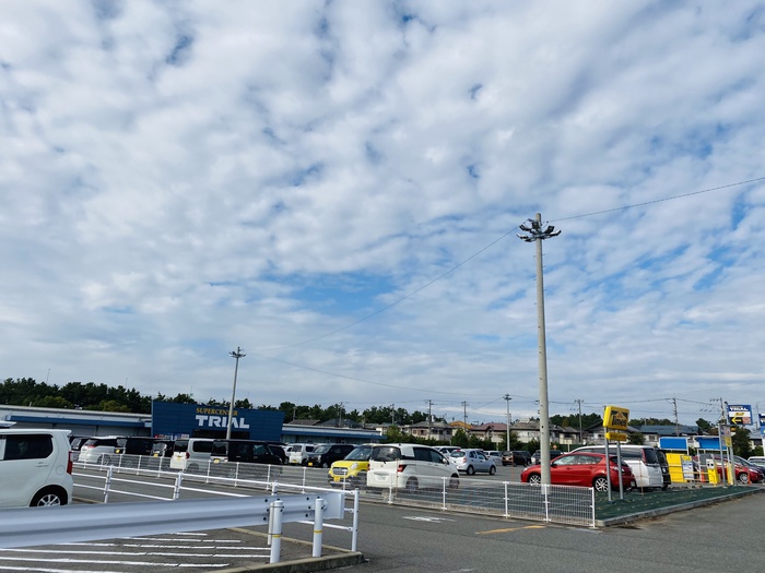 スーパー　トライアル二色浜店（スーパー）まで1100m