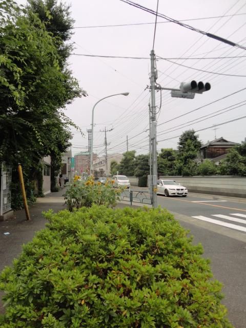 その他　目の前の通り（その他）まで1m
