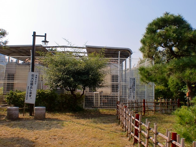 公園　千早フラワー公園（公園）まで254m