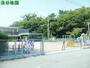 幼稚園・保育園　蒲こども園（幼稚園・保育園）まで490m