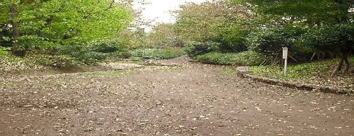 公園　玉川上水永泉寺緑地（公園）まで860m
