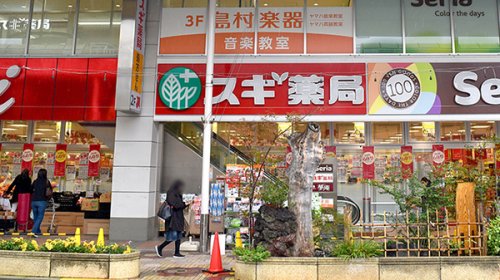 ドラックストア　スギ薬局 南小岩店（ドラッグストア）まで696m