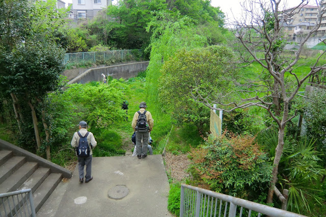公園　囃子水公園（公園）まで1661m