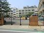 小学校　葛飾区立川端小学校（小学校）まで213m