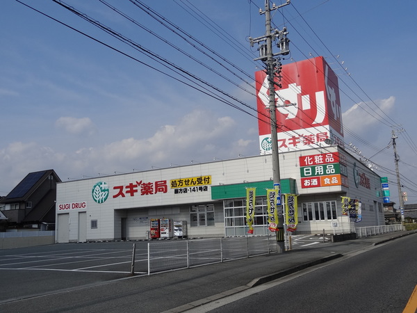 ドラックストア　スギ薬局津新町店（ドラッグストア）まで1011m