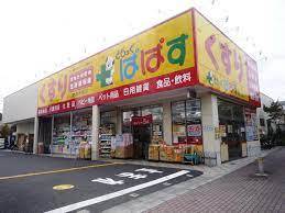 ドラックストア　どらっぐぱぱす赤塚新町店（ドラッグストア）まで1176m