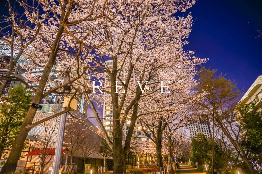 その他　赤坂駅(東京メトロ 千代田線)（その他）まで330m