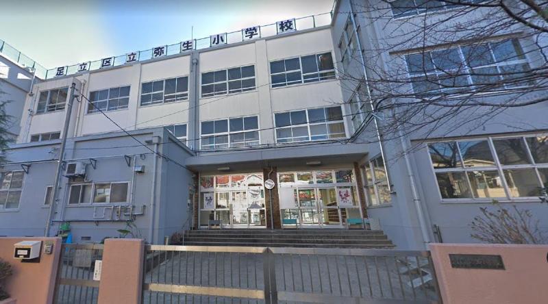 小学校　弥生小学校（小学校）まで236m