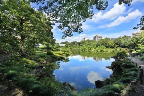 公園　清澄庭園（公園）まで594m
