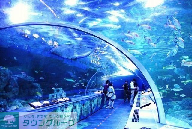 その他　しながわ水族館（その他）まで366m