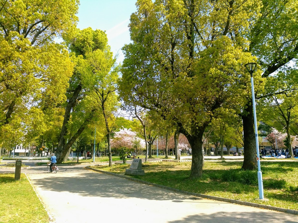 公園　十三公園（公園）まで879m