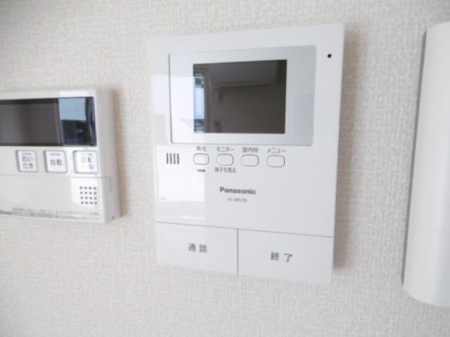 Solanaのその他写真