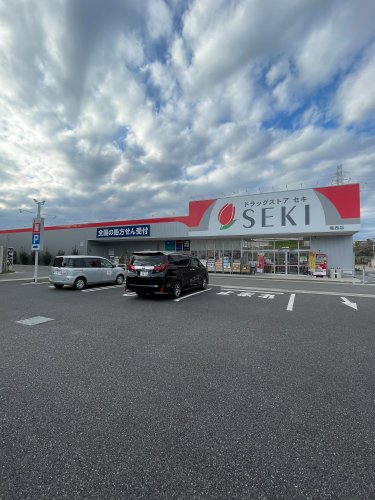 ドラックストア　ドラッグストア セキ 蕨西店（ドラッグストア）まで603m