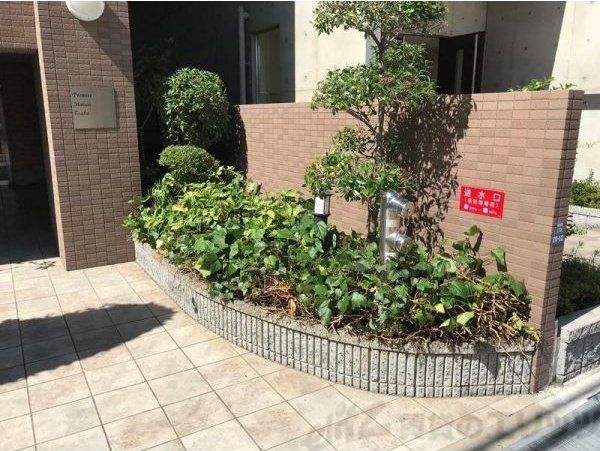 庭