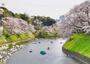 その他　千鳥ケ淵（その他）まで1589m