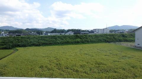 眺望　景色が綺麗な眺望です♪（イメージ）