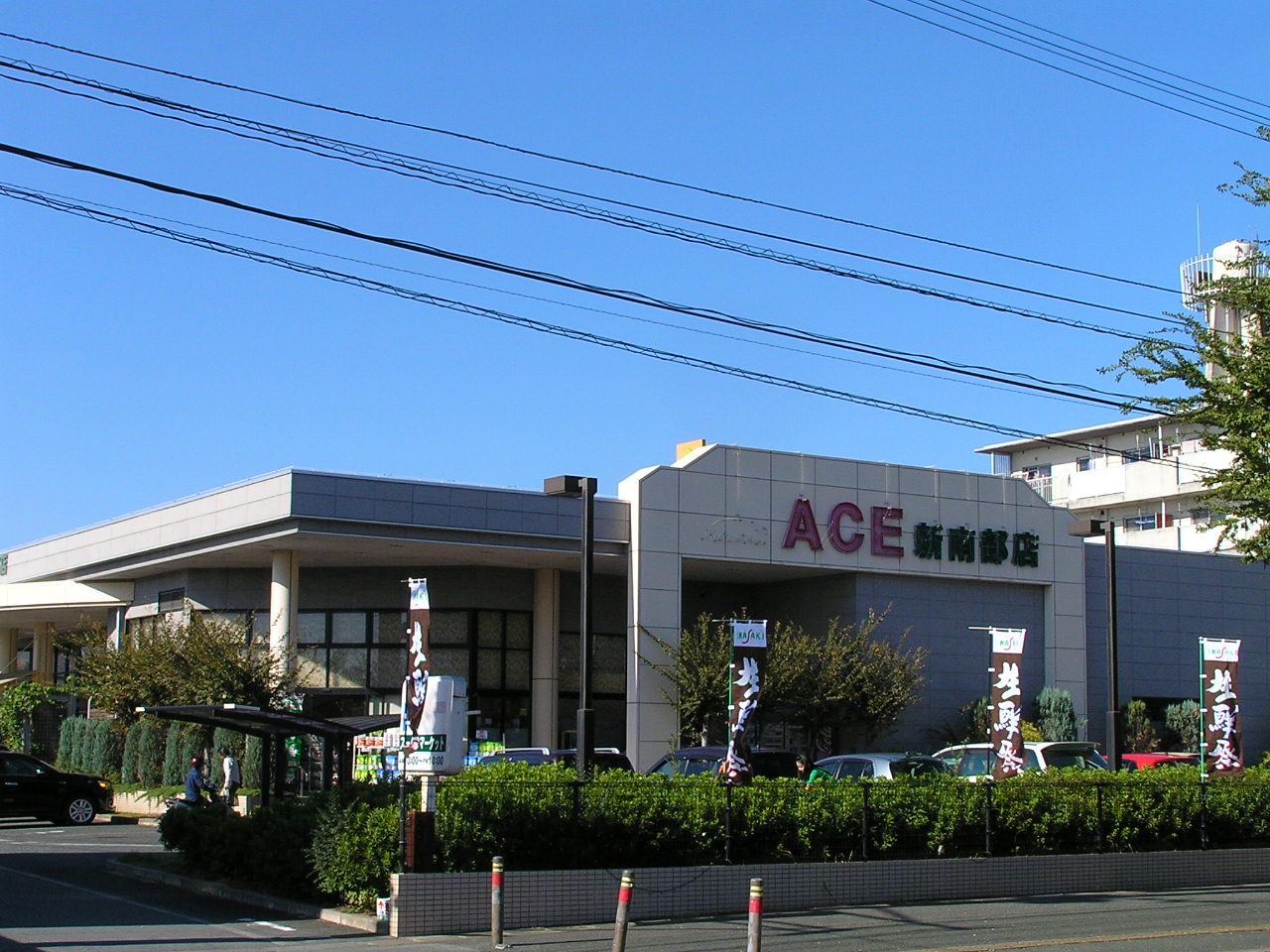 スーパー　エース新南部店（スーパー）まで600m