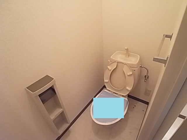 【ディアス鵤のトイレ】