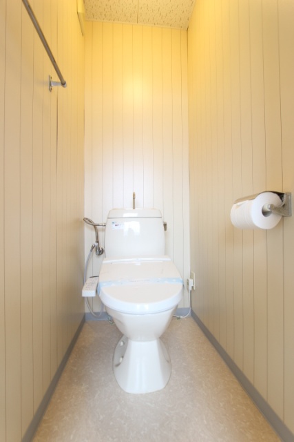 トイレ　同物件別号室の写真