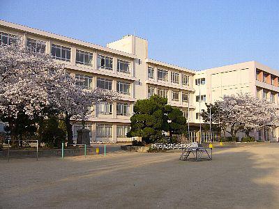 小学校　水上小学校（小学校）まで291m