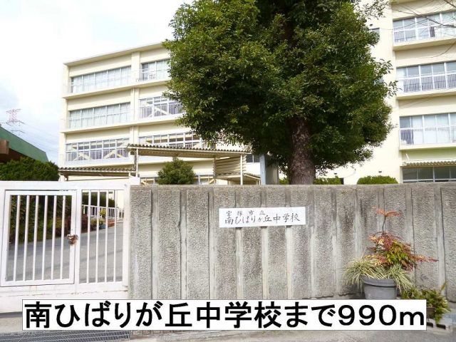 中学校　南ひばりが丘中学校（中学校）まで990m