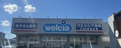 ドラックストア　ウエルシア薬局東川口店（ドラッグストア）まで816m