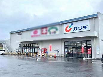 ドラックストア　カワチ薬品 水海道店（ドラッグストア）まで655m