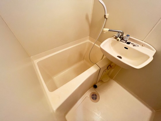 バス・シャワールーム　＊他号室の写真を利用