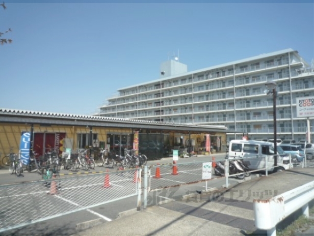 スーパー　京都コープながおか店（スーパー）まで530m