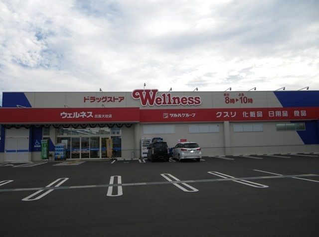 ドラックストア　ウェルネス出雲大社店（ドラッグストア）まで900m