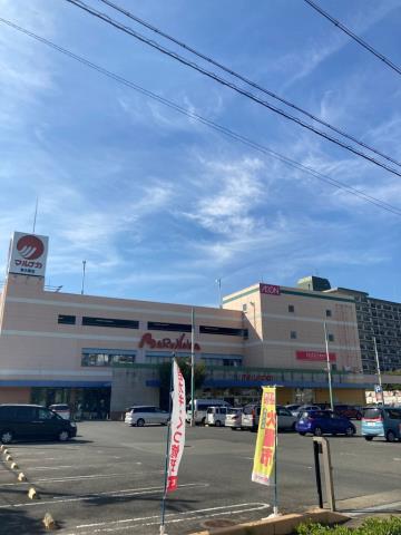 スーパー　スーパーマルナカ 東大阪店（スーパー）まで313m