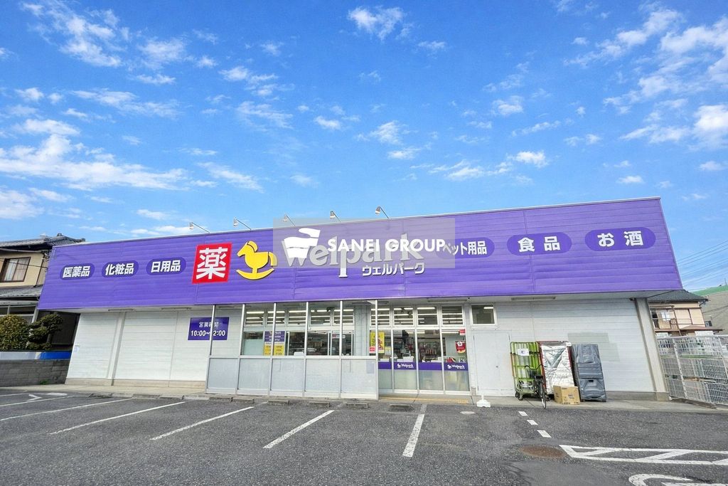 ドラックストア　ウェルパーク飯能稲荷町店（ドラッグストア）まで310m