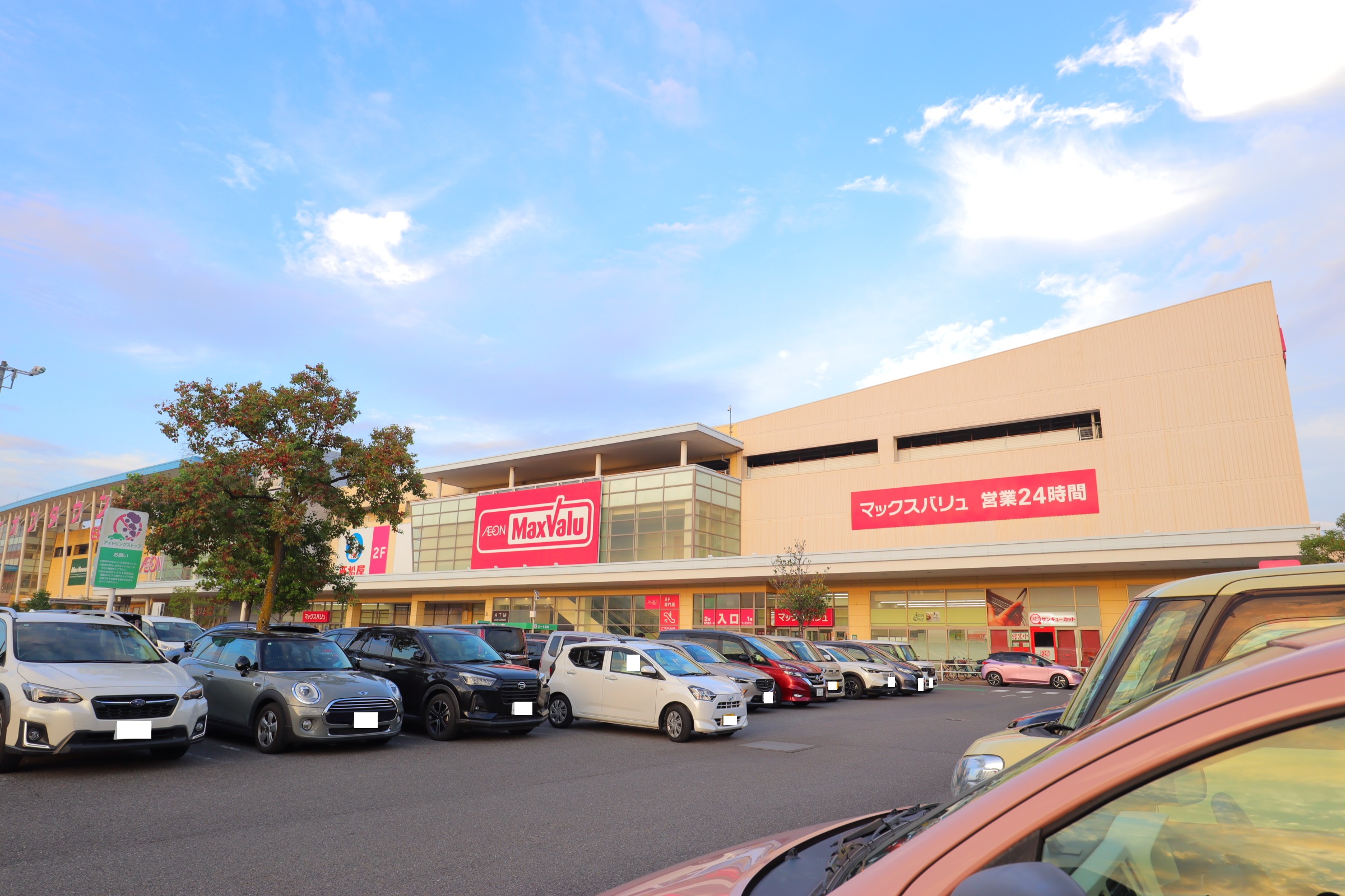 ショッピングセンター　イオンタウン大垣（ショッピングセンター）まで944m