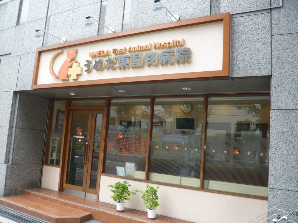 病院　うめだ東動物病院（病院）まで395m