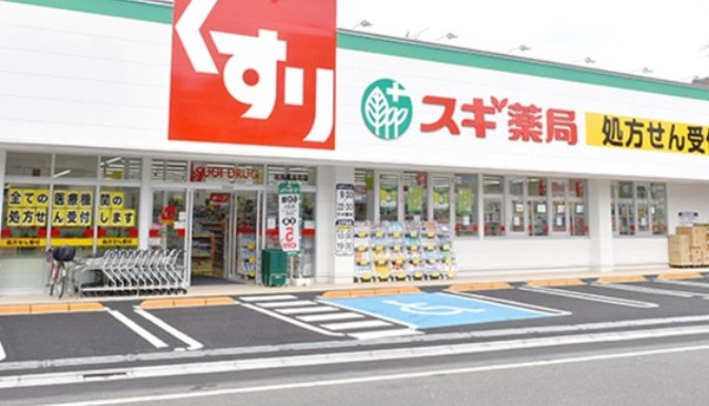 ドラックストア　スギ薬局練馬豊玉北店（ドラッグストア）まで584m
