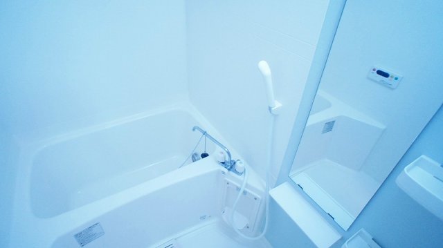 バス・シャワールーム　落ち着いた空間のお風呂です