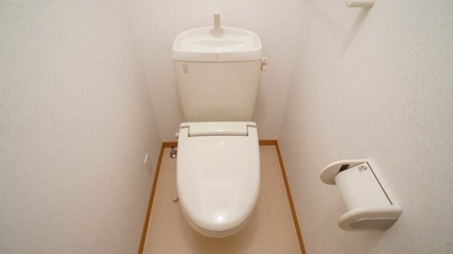 トイレ　トイレも気になるポイント
