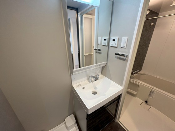 洗面設備　※別部屋の写真です