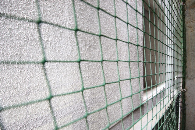 眺望　※別室の参考写真の為、現況優先です。