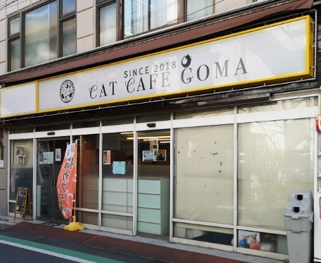 飲食店　猫カフェ GOMA(ゴマ)（飲食店）まで300m