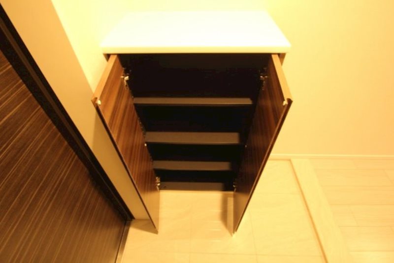 玄関　※同物件別号室参考写真