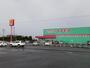 ドラックストア　コスモス加治木店（ドラッグストア）まで1100m