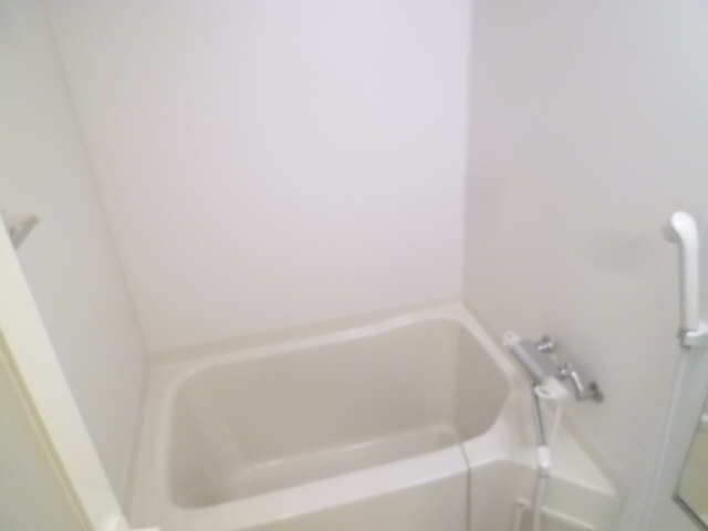 バス・シャワールーム　2012年登録・504号室の写真