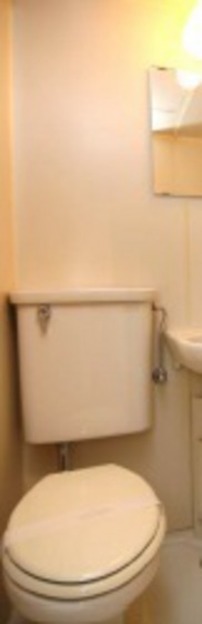 トイレ　他号室のお写真です