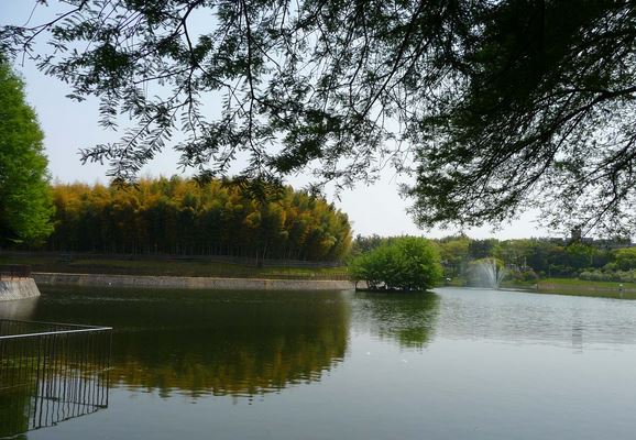公園　桃山公園（公園）まで400m