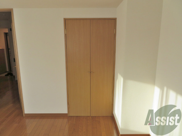 収納　クローゼットはこちらです。沢山入りそうです